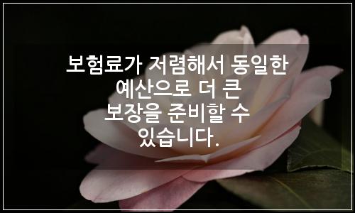 오늘의 이미지