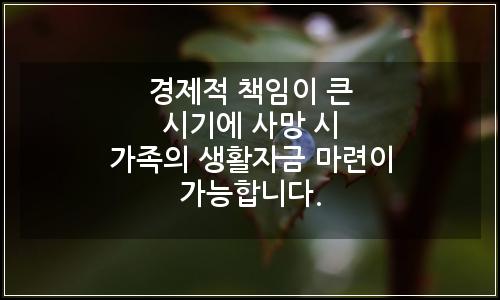 오늘의 이미지