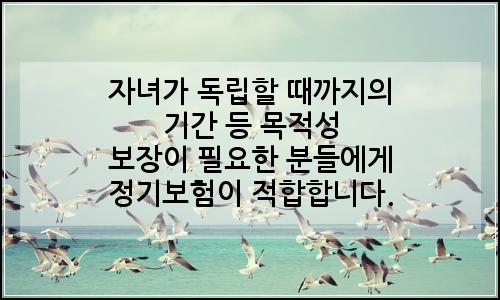 오늘의 이미지