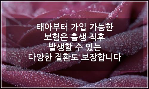 오늘의 이미지