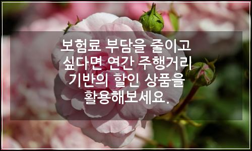 오늘의 이미지