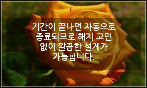 오늘의 이미지