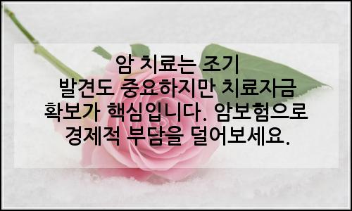 오늘의 이미지