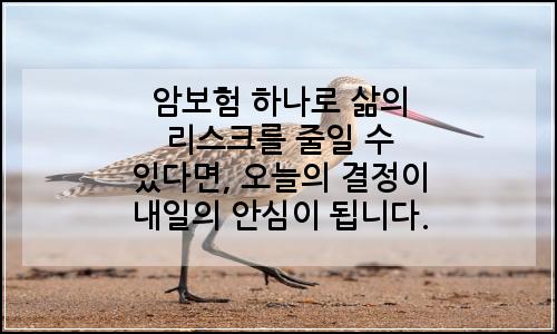 오늘의 이미지