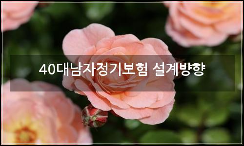 오늘의 이미지