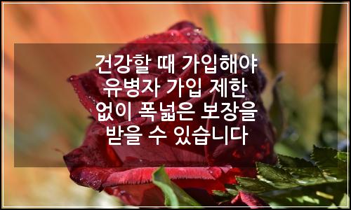오늘의 이미지