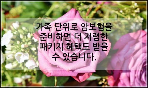 오늘의 이미지