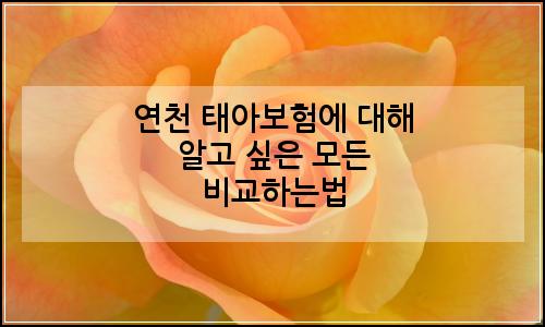 오늘의 이미지