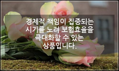 오늘의 이미지