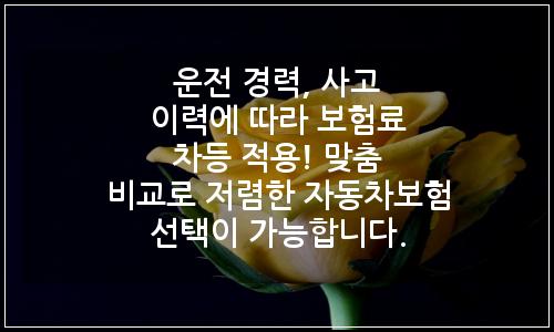 오늘의 이미지