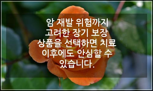 오늘의 이미지