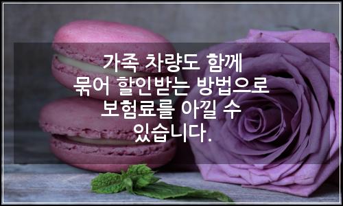 오늘의 이미지