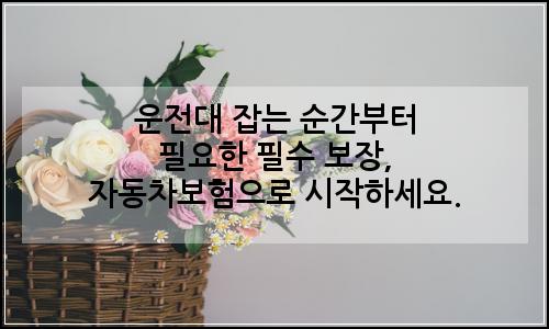 오늘의 이미지