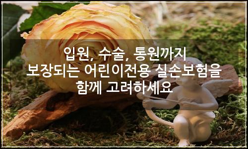 오늘의 이미지