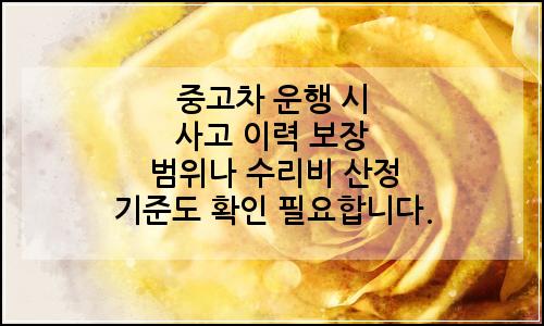 오늘의 이미지