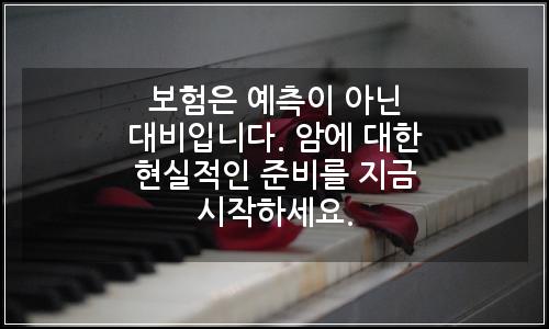 오늘의 이미지