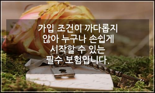 오늘의 이미지