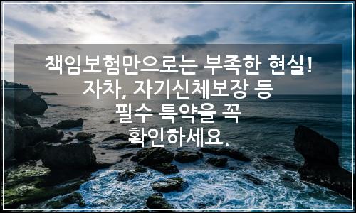 오늘의 이미지