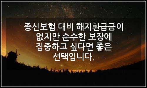 오늘의 이미지