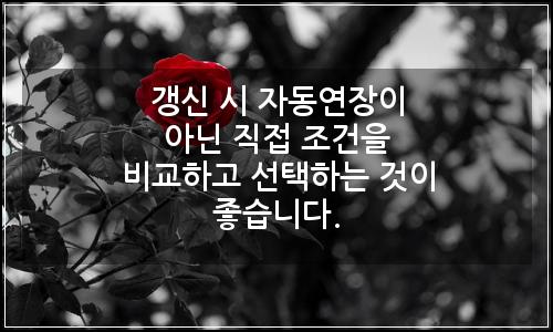오늘의 이미지
