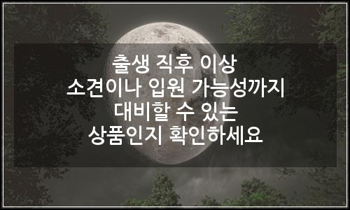 오늘의 이미지