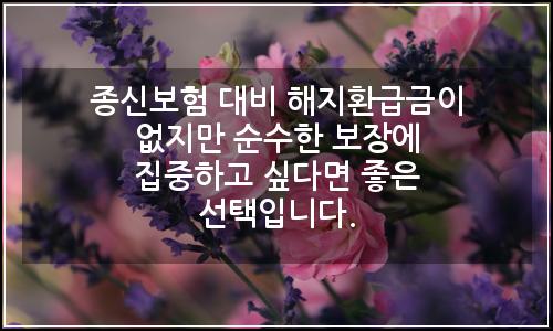오늘의 이미지