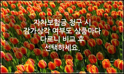 오늘의 이미지