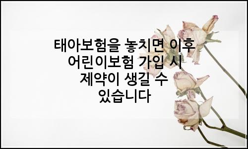 오늘의 이미지