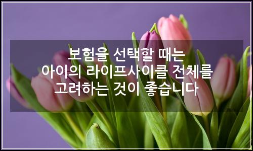 오늘의 이미지