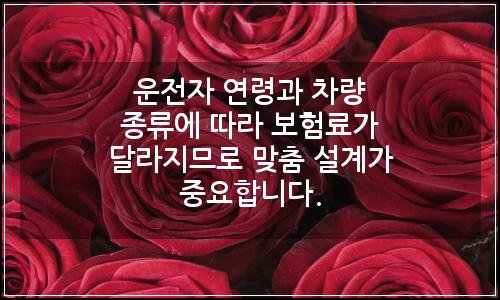 오늘의 이미지
