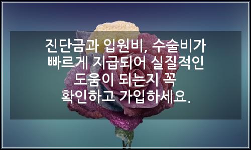 오늘의 이미지