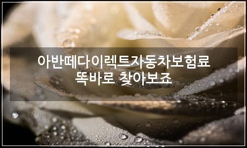 오늘의 이미지