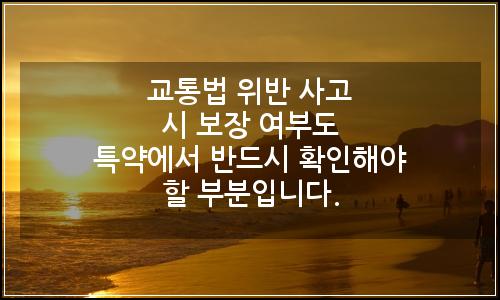 오늘의 이미지