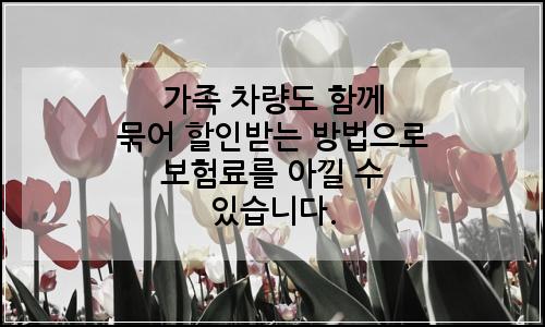 오늘의 이미지