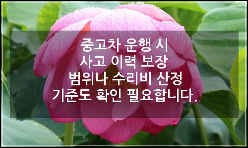 오늘의 이미지