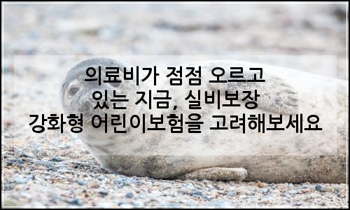 오늘의 이미지