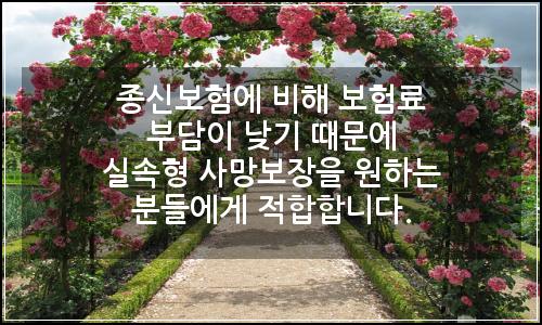 오늘의 이미지
