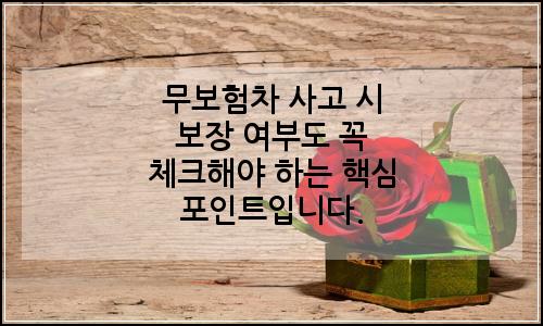 오늘의 이미지