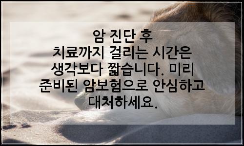 오늘의 이미지