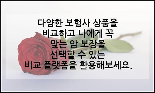 오늘의 이미지