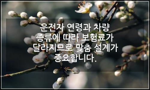 오늘의 이미지