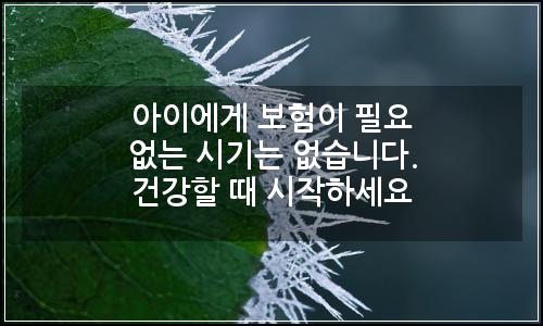 오늘의 이미지