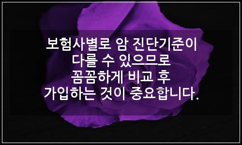 오늘의 이미지