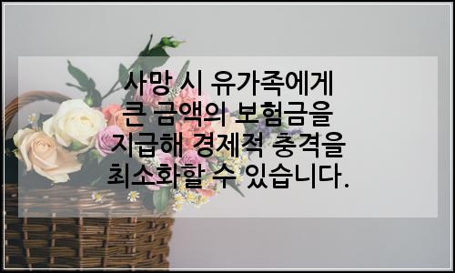 오늘의 이미지