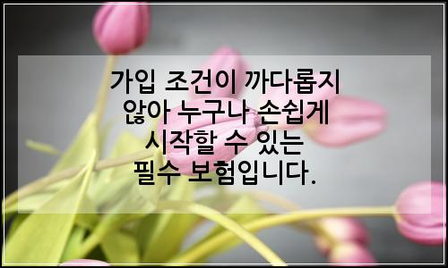 오늘의 이미지