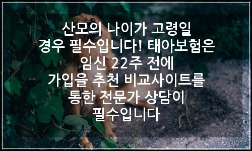 오늘의 이미지