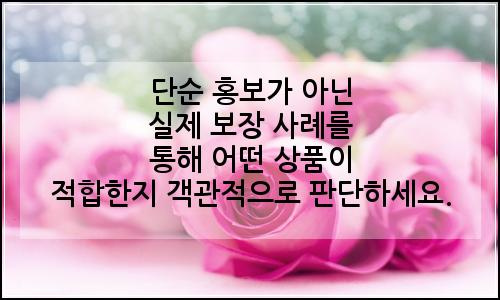 오늘의 이미지
