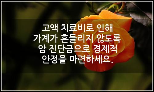 오늘의 이미지