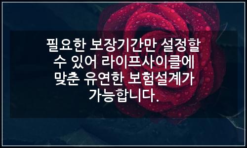 오늘의 이미지