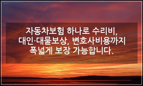 오늘의 이미지